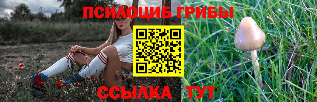 Псилоцибиновые грибы мицелий Советская Гавань