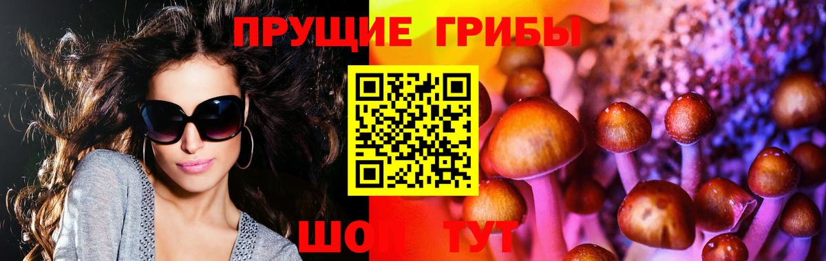 Псилоцибиновые грибы MAGIC MUSHROOMS  Вход с VPN  Советская Гавань  Галлюциногенные грибы мицелий 